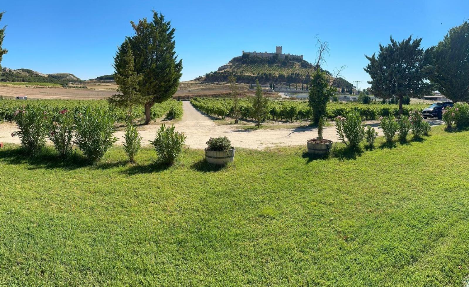 Finca Entrevinedos De Bodegas Marcos Penafiel Exterior photo